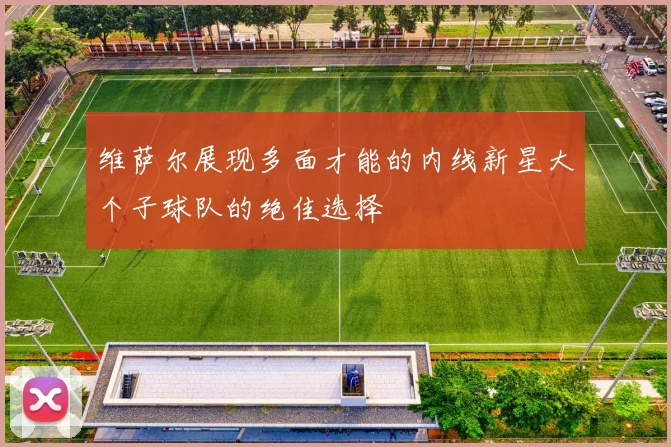 维萨尔展现多面才能的内线新星大个子球队的绝佳选择