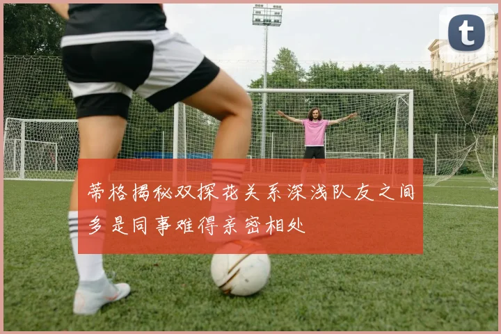 蒂格揭秘双探花关系深浅队友之间多是同事难得亲密相处
